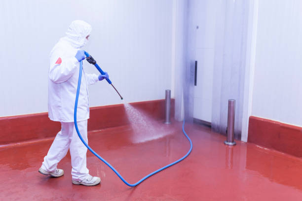 Best Patio and Deck Pressure Washing  in Lorena, TX